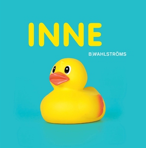 Inne (e-bok) av