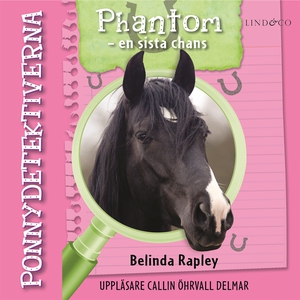 Ponnydetektiverna. Phantom - en sista chans (lj