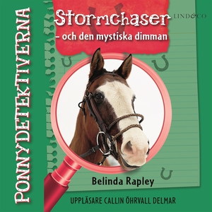 Ponnydetektiverna. Stormchaser - och den mystis