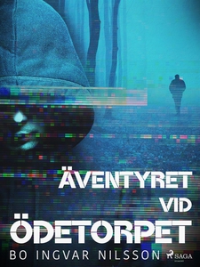 Äventyret vid ödetorpet (e-bok) av Bo Ingvar Ni