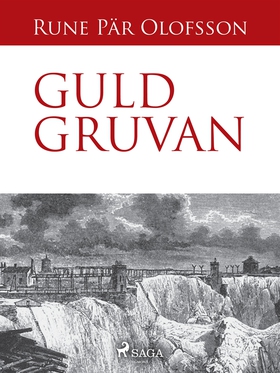 Guldgruvan (e-bok) av Rune Pär Olofsson