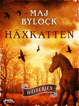 Häxkatten (e-bok) av Maj Bylock
