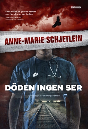 Döden ingen ser (e-bok) av Anne-Marie Schjetlei