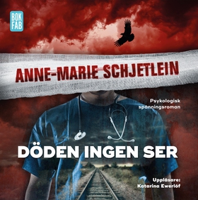 Döden ingen ser (ljudbok) av Anne-Marie Schjetl