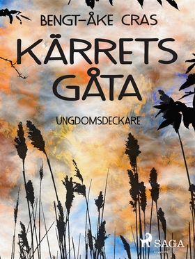 Kärrets gåta (e-bok) av Bengt-Åke Cras