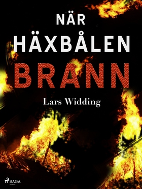 När häxbålen brann (e-bok) av Lars Widding