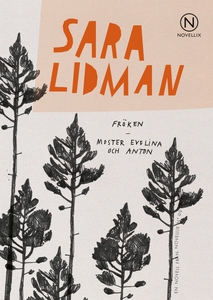 Fröken, Moster Evelina och Anton (e-bok) av Sar