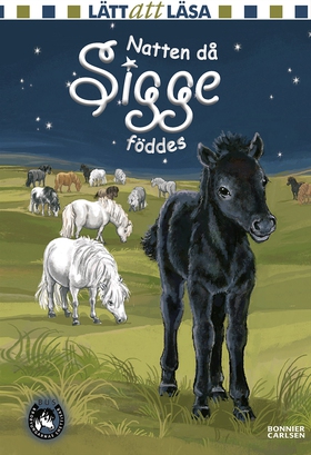 Natten då Sigge föddes (e-bok) av Lin Hallberg