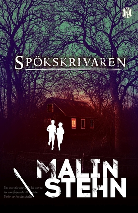 Spökskrivaren (e-bok) av Malin Stehn