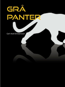 Grå panter: en 70-årig actionhjälte (e-bok) av