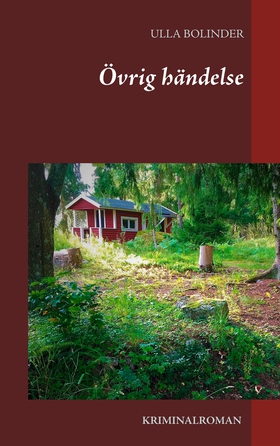 Övrig händelse (e-bok) av Ulla Bolinder
