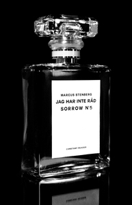 Jag har inte råd : Sorrow nr 5 (e-bok) av Marcu