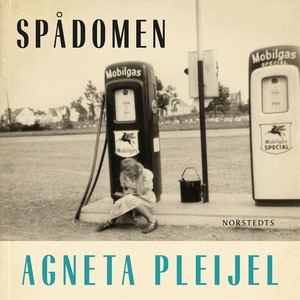 Spådomen: En flickas memoarer (ljudbok) av Agne