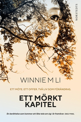 Ett mörkt kapitel (e-bok) av Winnie M Li