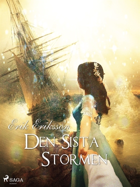 Den sista stormen (e-bok) av Erik Eriksson