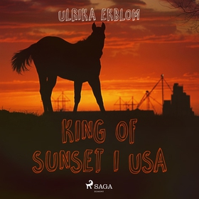 King of Sunset i USA (ljudbok) av Ulrika Ekblom