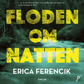 Floden om natten (ljudbok) av Erica Ferencik