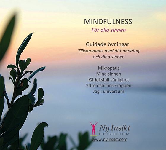 Mindfulness : för alla sinnen