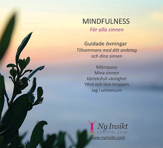 Mindfulness : för alla sinnen (ljudbok) av Chri
