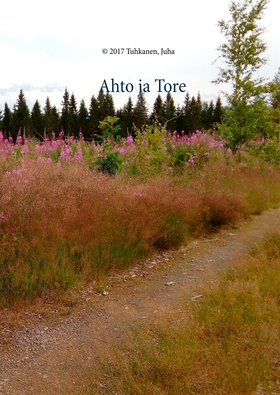 Ahto ja Tore (e-bok) av Juha Tuhkanen