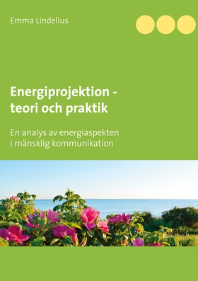 Energiprojektion teori och praktik: En analys a