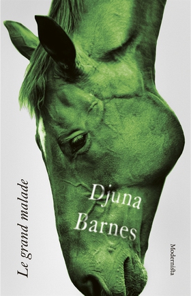 Le grand malade (e-bok) av Djuna Barnes