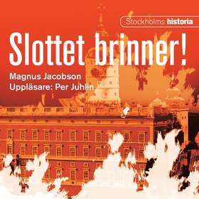Slottet brinner! (ljudbok) av Magnus Jacobson