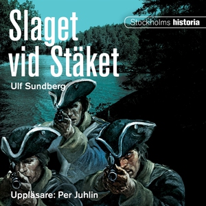 Slaget vid Stäket (ljudbok) av Ulf Sundberg