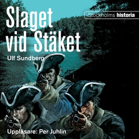 Slaget vid Stäket (ljudbok) av Ulf Sundberg