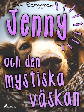 Jenny och den mystiska väskan (e-bok) av Eva Be