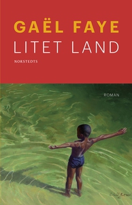 Litet land (e-bok) av Gaël Faye