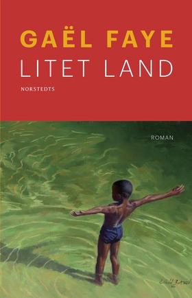Litet land (e-bok) av Gaël Faye