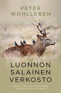Luonnon salainen verkosto (e-bok) av Peter Wohl