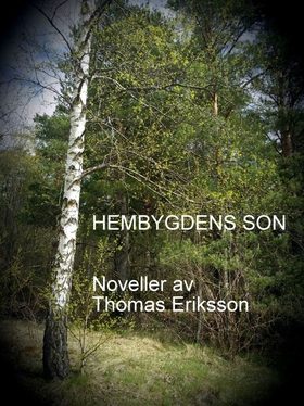 Hembygdens son (e-bok) av Thomas Eriksson