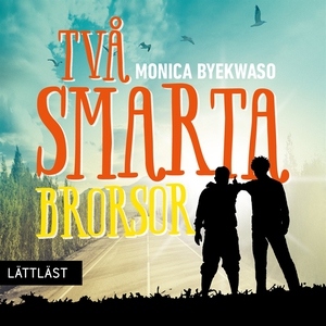 Två smarta brorsor / Lättläst (ljudbok) av Moni