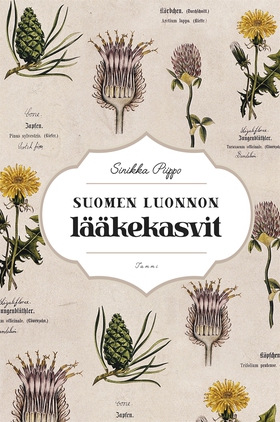 Suomen luonnon lääkekasvit (e-bok) av Sinikka P