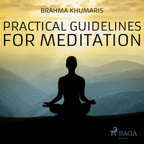 Practical Guidelines For Meditation (ljudbok) a