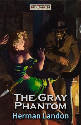 The Gray Phantom (e-bok) av Herman Landon