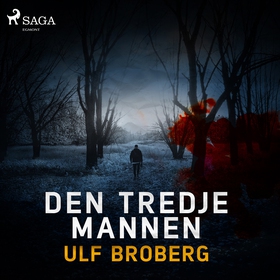 Den tredje mannen (ljudbok) av Ulf Broberg