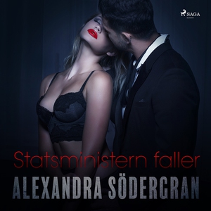 Statsministern faller (ljudbok) av Alexandra Sö