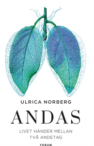 Andas : Livet händer mellan två andetag (e-bok)