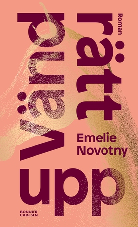 Vänd rätt upp (e-bok) av Emelie Novotny