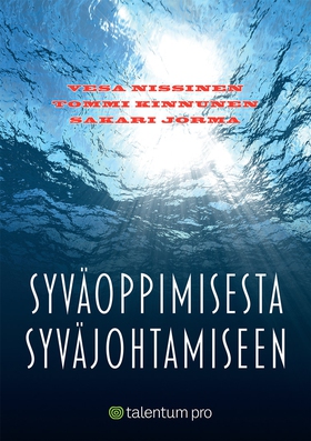 Syväoppimisesta syväjohtamiseen (e-bok) av Tomm