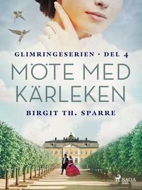 Möte med kärleken (e-bok) av Birgit Th. Sparre