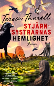 Stjärnsystrarnas hemlighet (e-bok) av Teresa Th