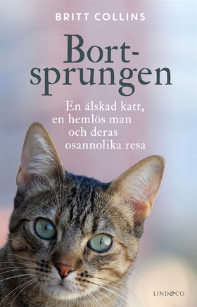 Bortsprungen : en älskad katt, en hemlös man oc