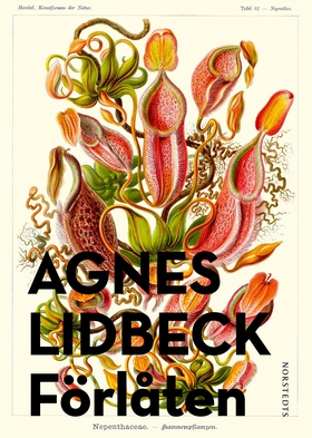 Förlåten (e-bok) av Agnes Lidbeck