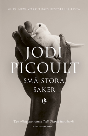 Små stora saker (e-bok) av Jodi Picoult