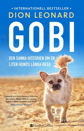 Gobi. Den sanna historien om en liten hunds lån