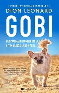 Gobi. Den sanna historien om en liten hunds lån